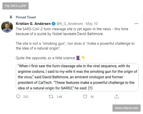 法甲冠军标志的由来与发展历程探析